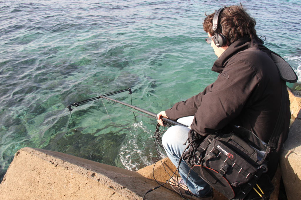 Prise de son avec hydrophones