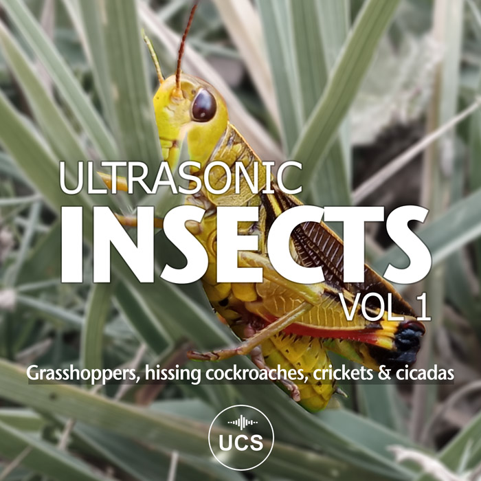 Ultrasonic Insects banque de son Nicolas Titeux