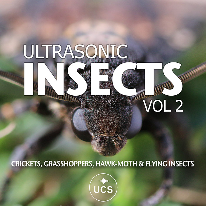 Banque de sons Ultrasonic Insects Volume 2
