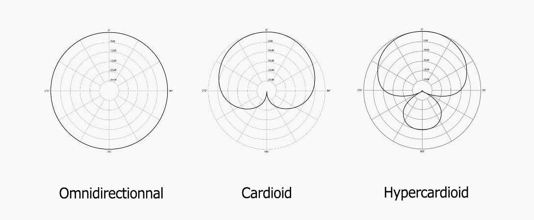 Microphone directivity